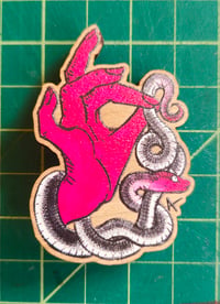 Image 4 of Snake Handling Pins
