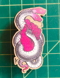 Image 5 of Snake Handling Pins