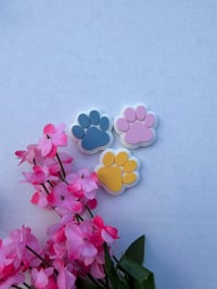 Paw Magnets