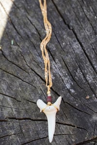 Image 5 of PEARL- shark tooth necklace