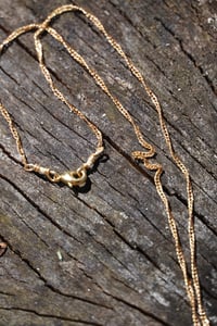 Image 3 of PEARL- shark tooth necklace