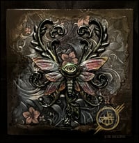 Large Ornate Framed Eye (Insect) 