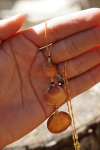 Image 2 of SUNRISE- 3 shell necklace