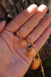 Image 1 of SUNRISE- 3 shell necklace