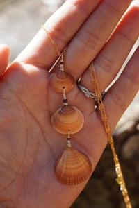 Image 6 of SUNRISE- 3 shell necklace