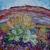 Image 2 of Sea Kale Finale