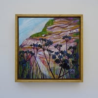 Image 1 of Horse Parsley