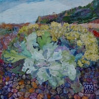 Image 2 of Sea Kale