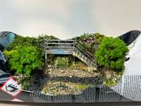 Image 8 of Hidden Steps
