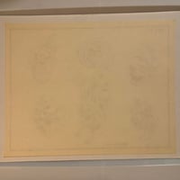 Image 2 of 1987 Spaulding & Roger’s production flash Ted Naydan 11x14 skulls