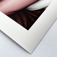 Image 2 of PLEASURED BY TRIBAL 2