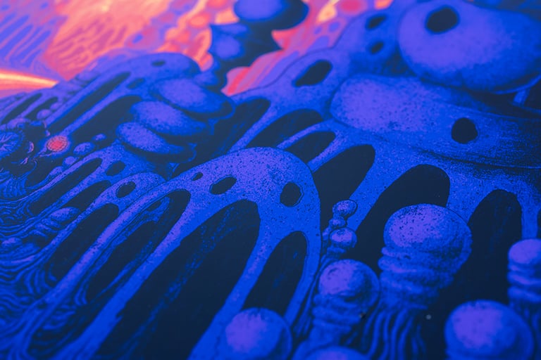 Roadburn 2026, Future // Screenprinted Artprint Image 4