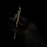 Image 1 of CORA OR MEDUSA HAIRPIN (FIND NAME)