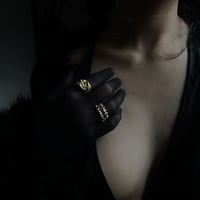 Image 2 of SALACIA RING