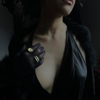 Image 1 of SALACIA RING