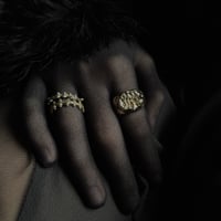 Image 6 of SALACIA RING