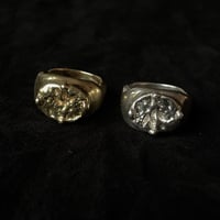 Image 7 of SALACIA RING