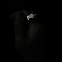 Image 8 of SALACIA RING