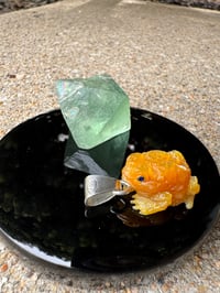 Image 2 of Golden toad 