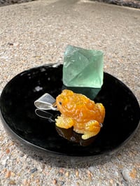 Image 4 of Golden toad 