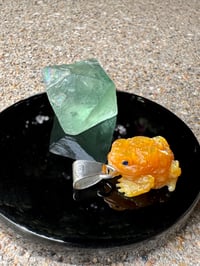 Image 6 of Golden toad 