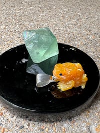 Image 8 of Golden toad 