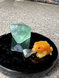 Image 1 of Golden toad 