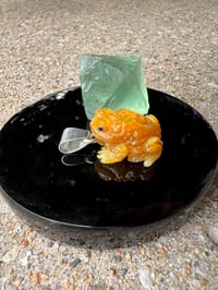 Image 9 of Golden toad 