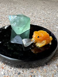 Image 10 of Golden toad 