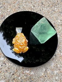 Image 11 of Golden toad 