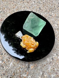 Image 3 of Golden toad 