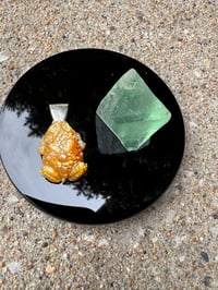 Image 5 of Golden toad 