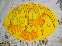 Image 3 of 1/1 Yellow Gum Nuts