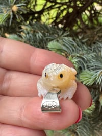 Image 5 of White toad 