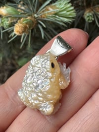 Image 2 of White toad 