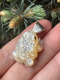 Image 6 of White toad 