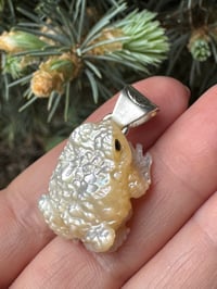 Image 7 of White toad 