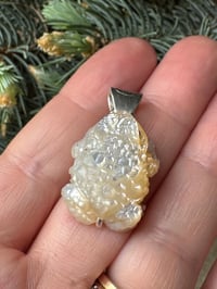 Image 8 of White toad 