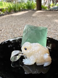 Image 9 of White toad 