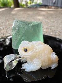 Image 1 of White toad 