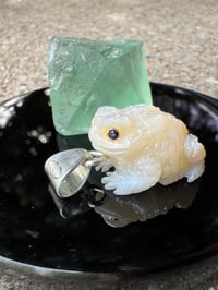 Image 10 of White toad 