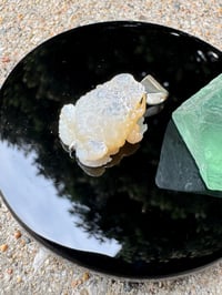 Image 14 of White toad 