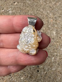 Image 11 of White toad 