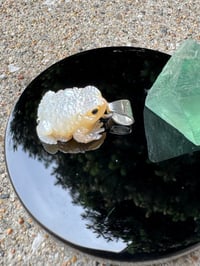 Image 3 of White toad 