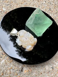 Image 15 of White toad 