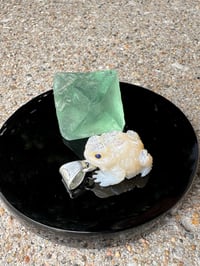 Image 12 of White toad 