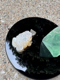 Image 13 of White toad 