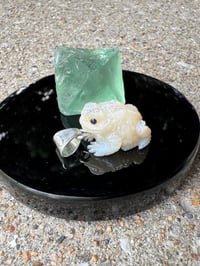 Image 16 of White toad 