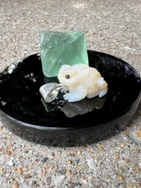 Image 17 of White toad 