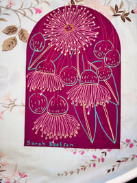 Image 3 of 2/1 Magenta Gum Nuts